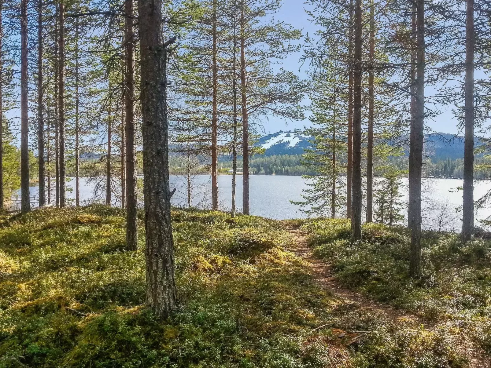 Rukakolo-Buiten