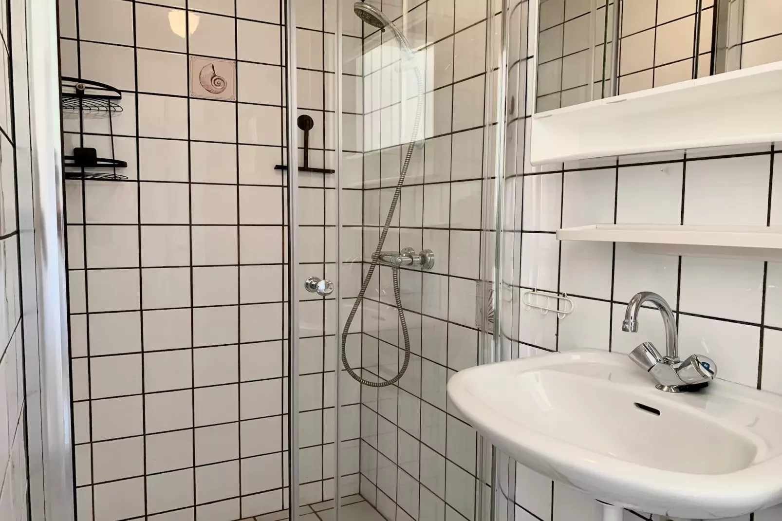 Wildrijk 141-Badkamer
