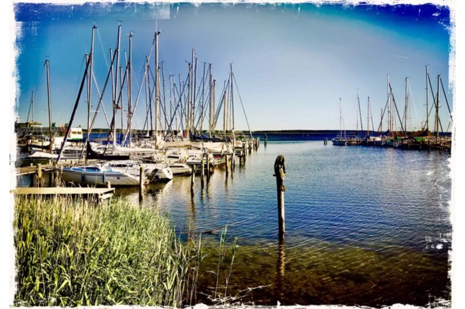 Landlust pur 1