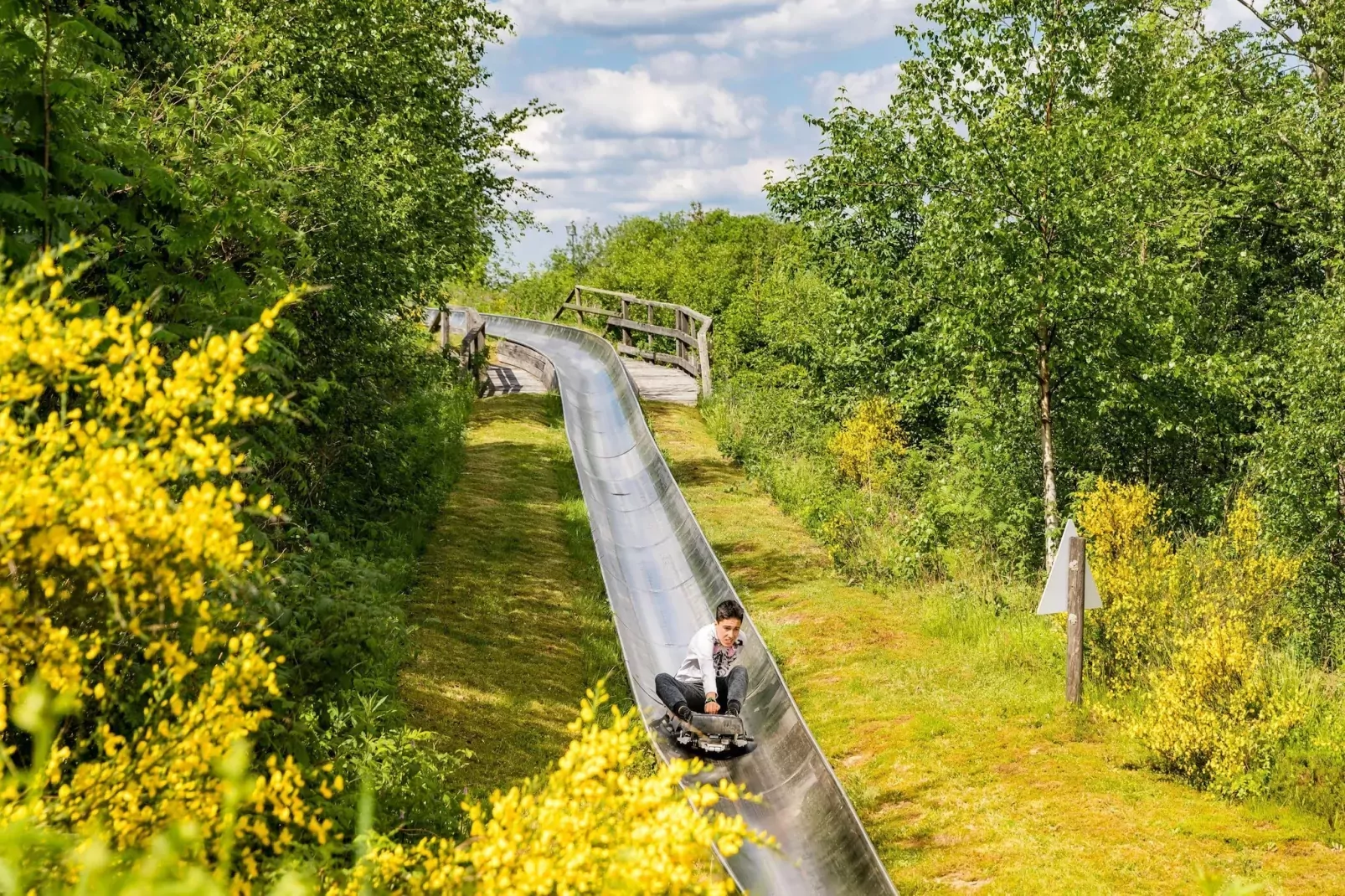 Bergresort Winterberg 1 - Gebieden zomer 5km