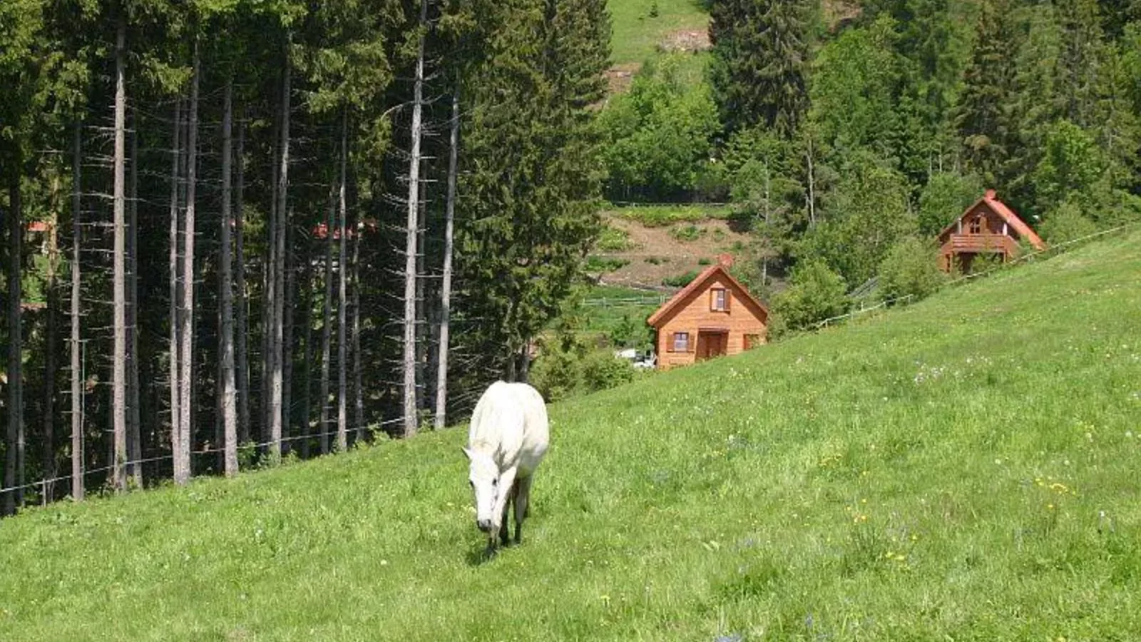 Karawankenpanorama S-Gebieden zomer 1km