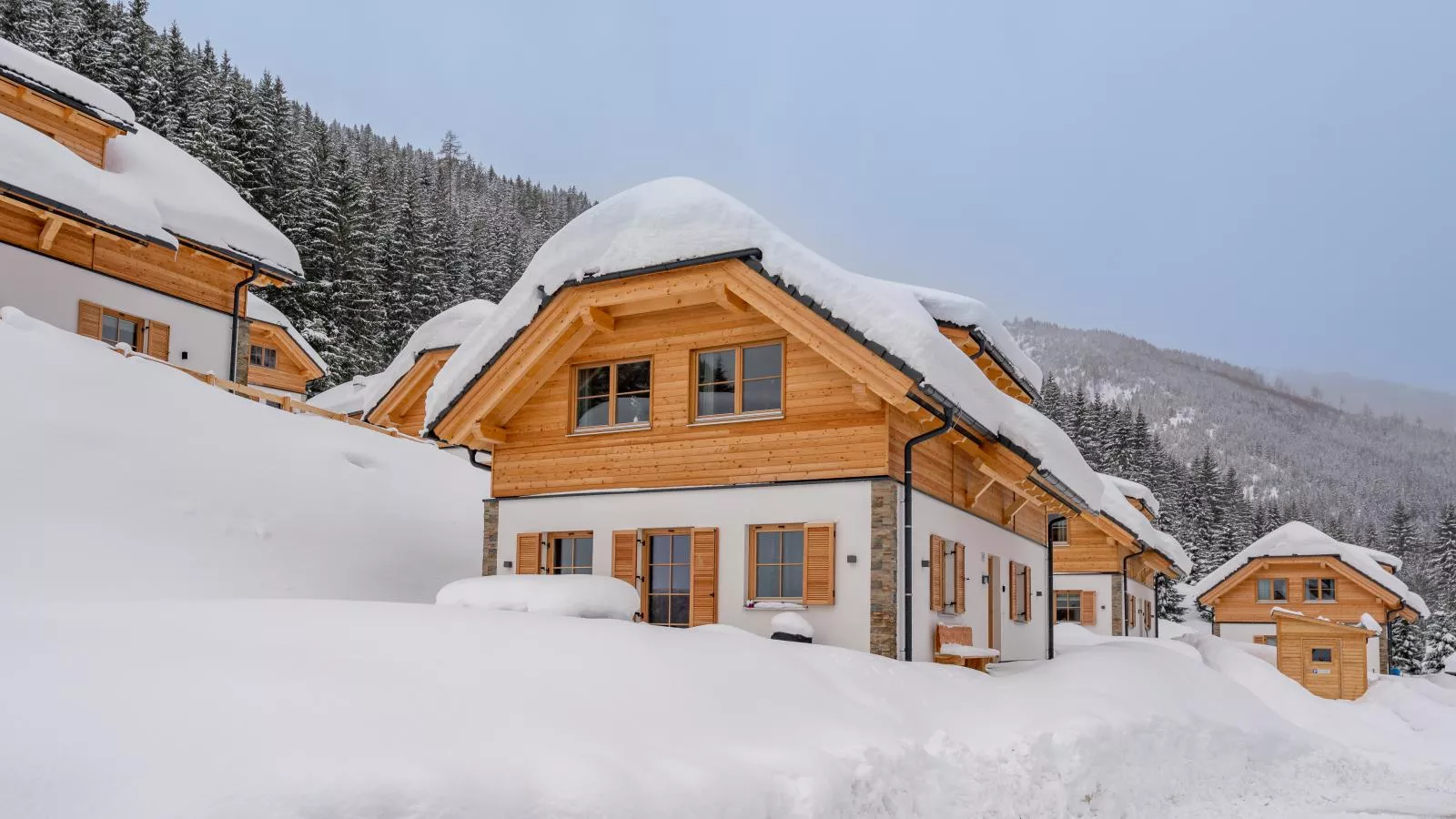 Alpenjoy Lodge-Exterieur winter