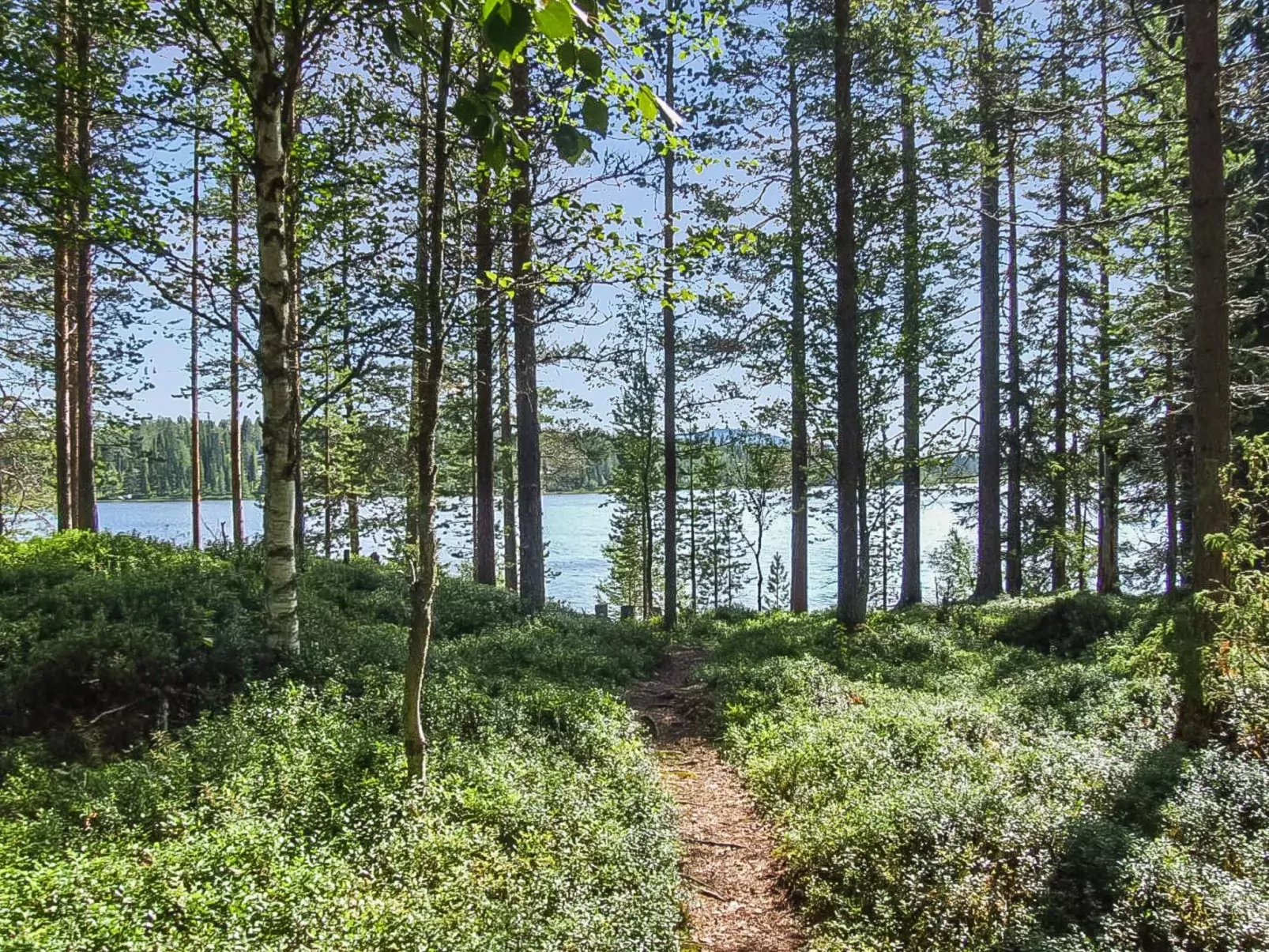 Rukakolo-Buiten