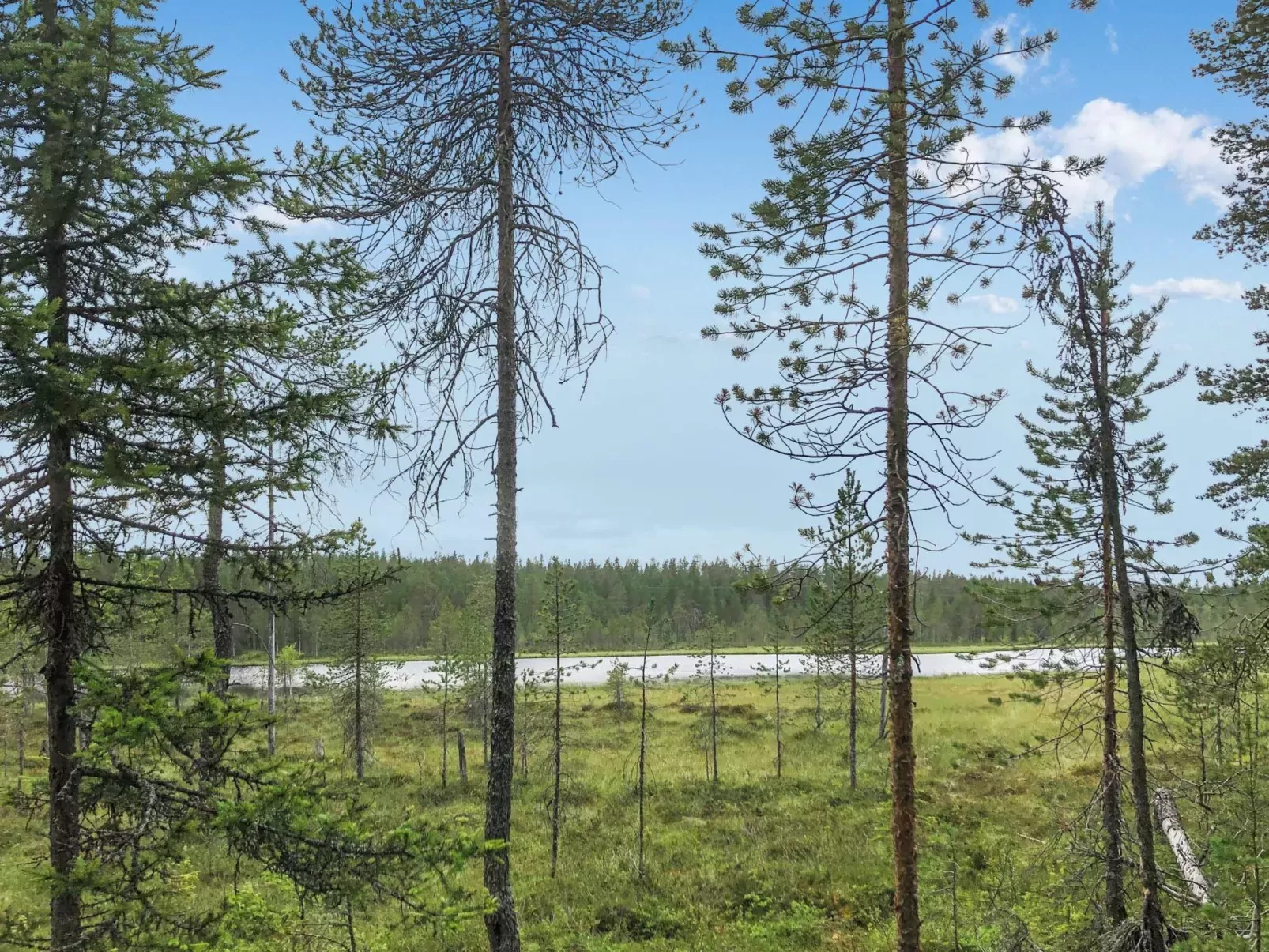 Pajalan hirsitupa-Buiten