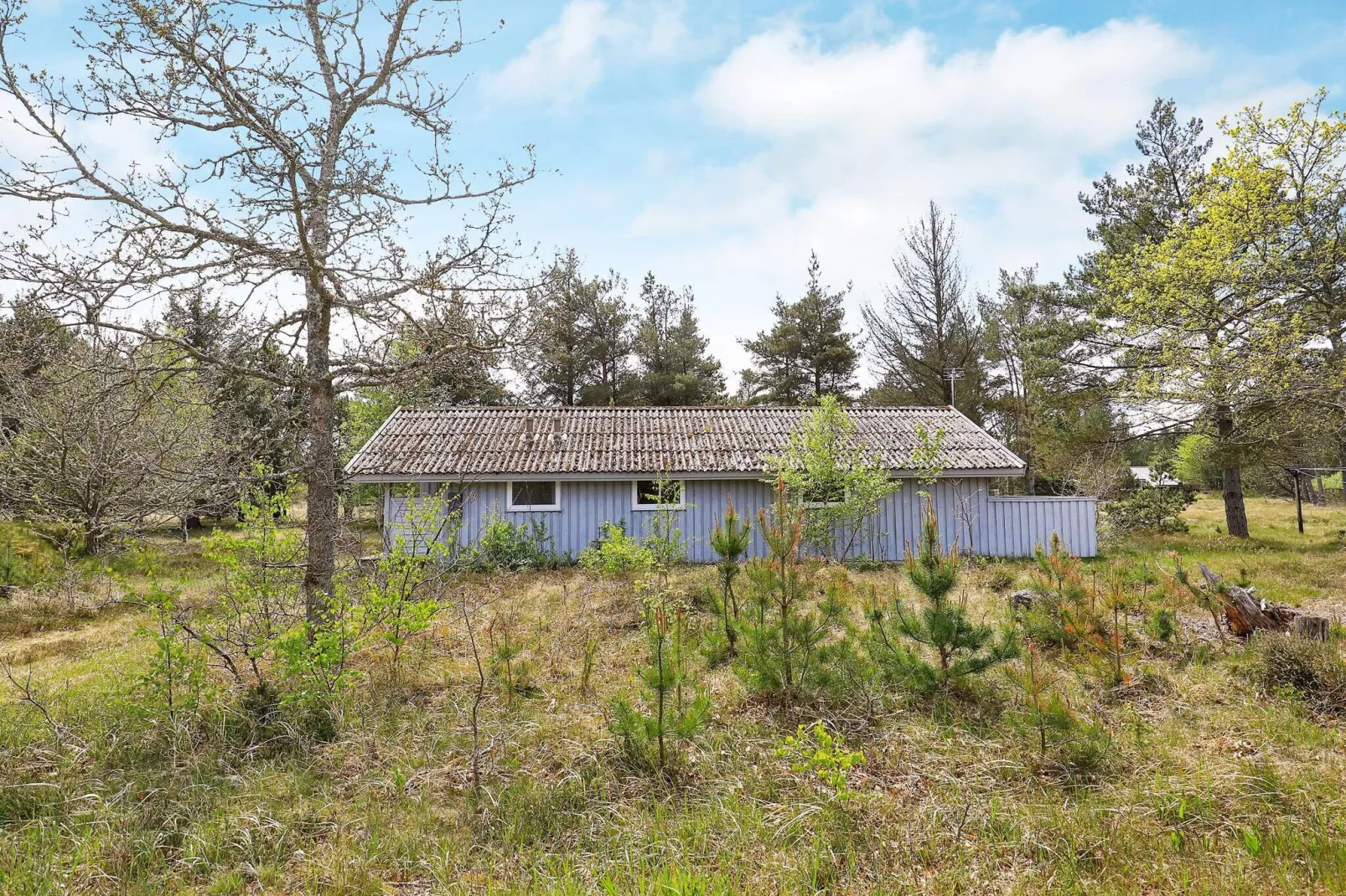 6 persoons vakantie huis in Ålbæk-Buitenlucht