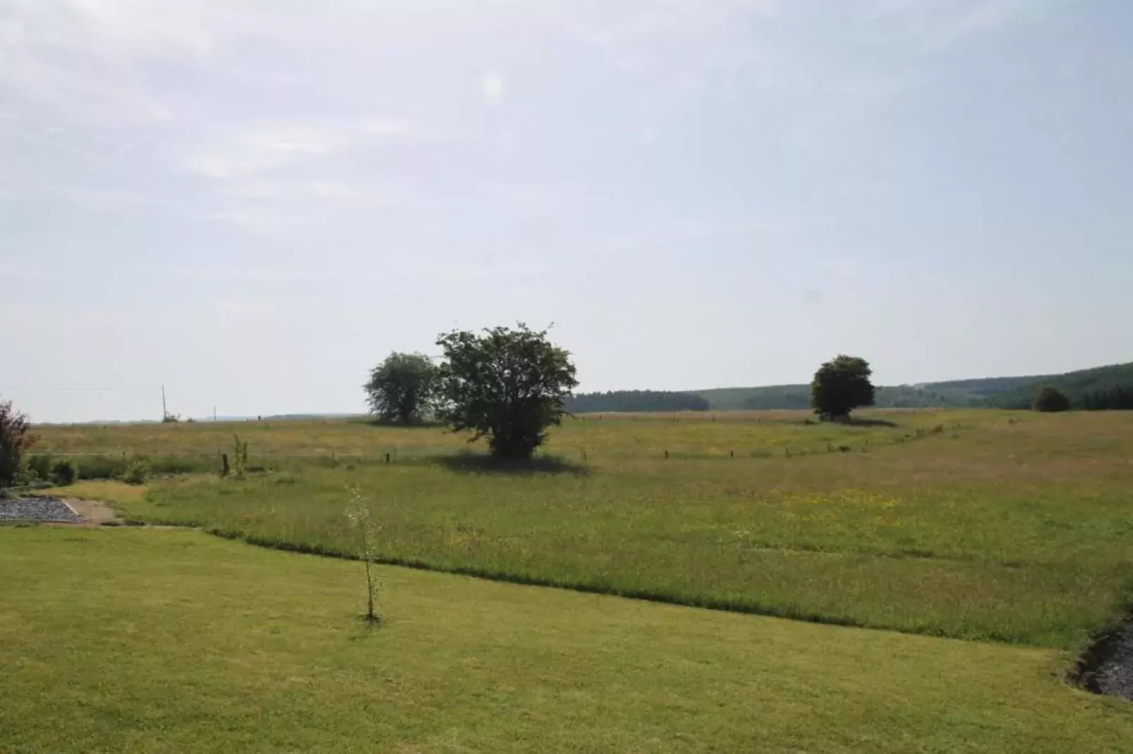 De bonte kat-Gebieden zomer 20km