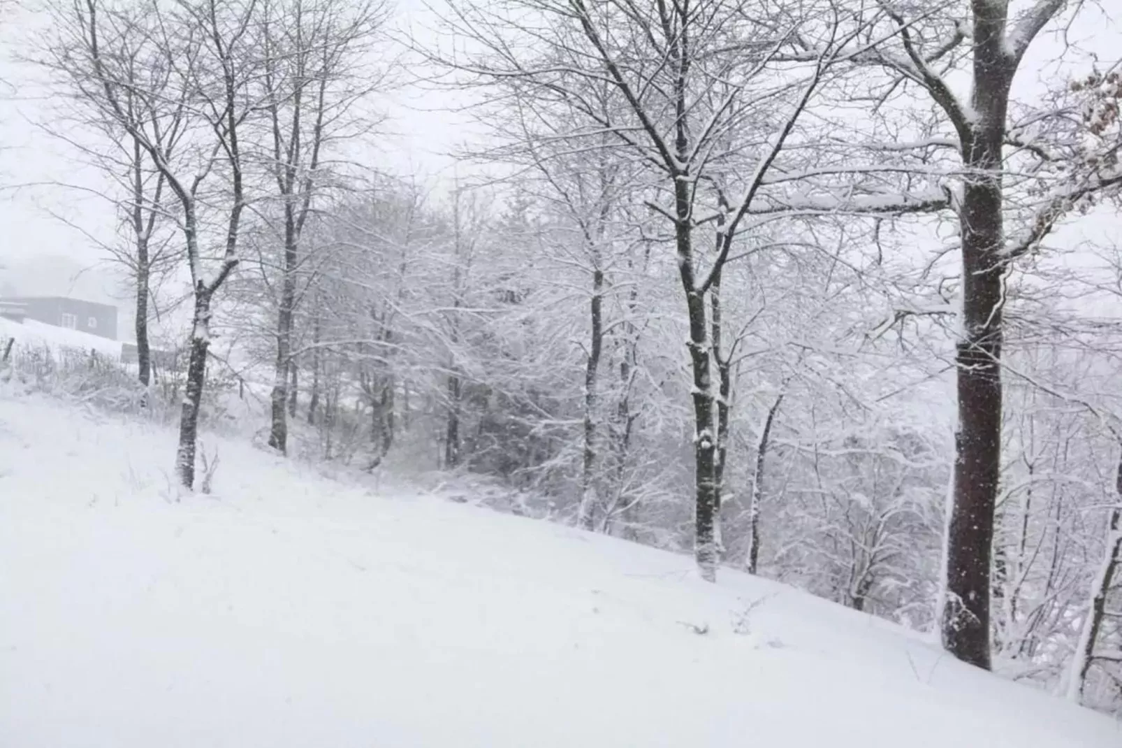 Willingen-Gebied winter 20km