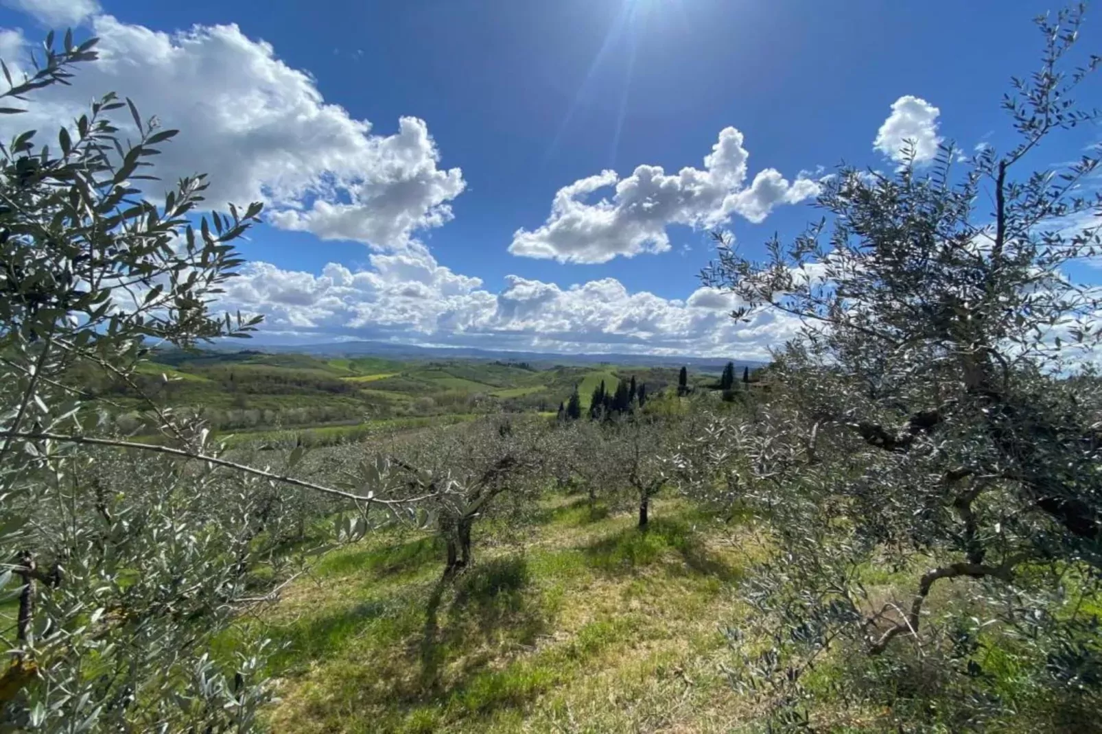 Il Poggiale-apt 9-Gebieden zomer 20km