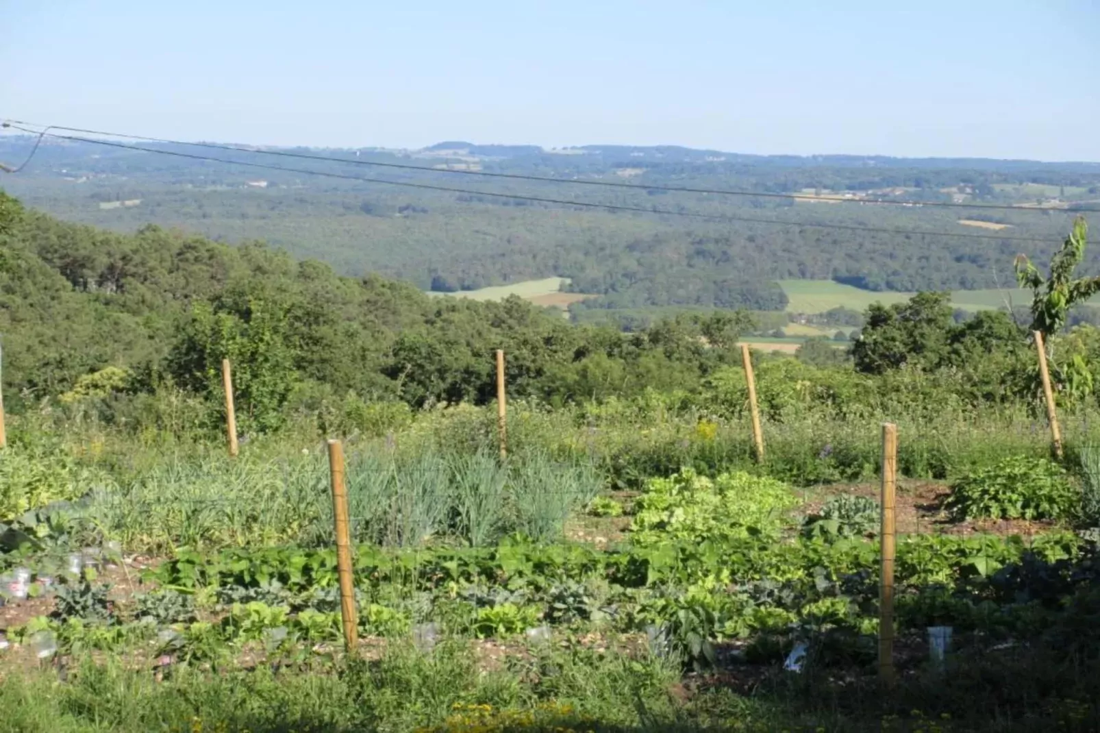 Le Bolet-Gebieden zomer 20km