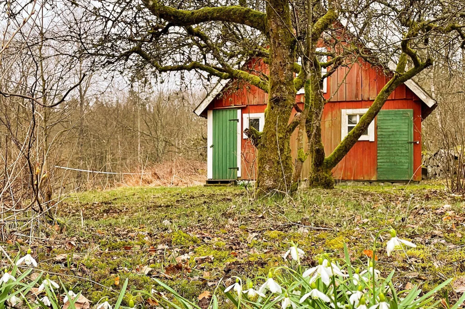 4 persoons vakantie huis in SÖLVESBORG