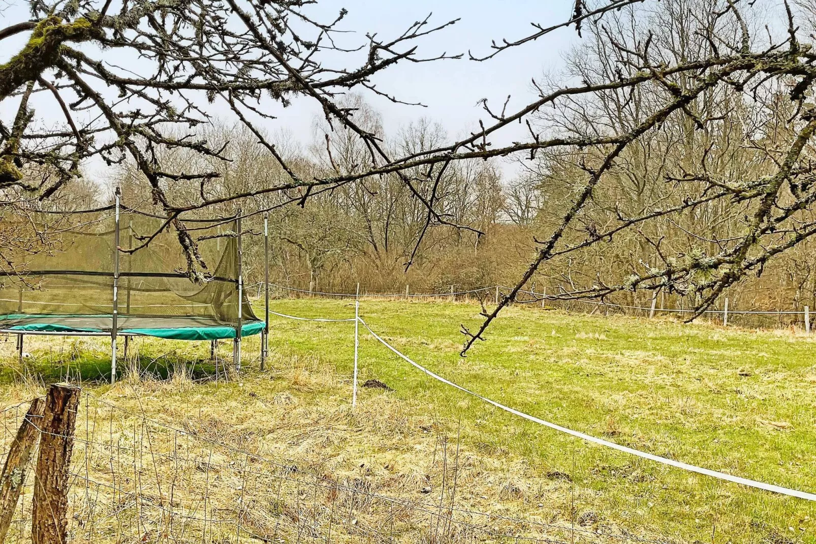 4 persoons vakantie huis in SÖLVESBORG-By Traum-Buitenlucht