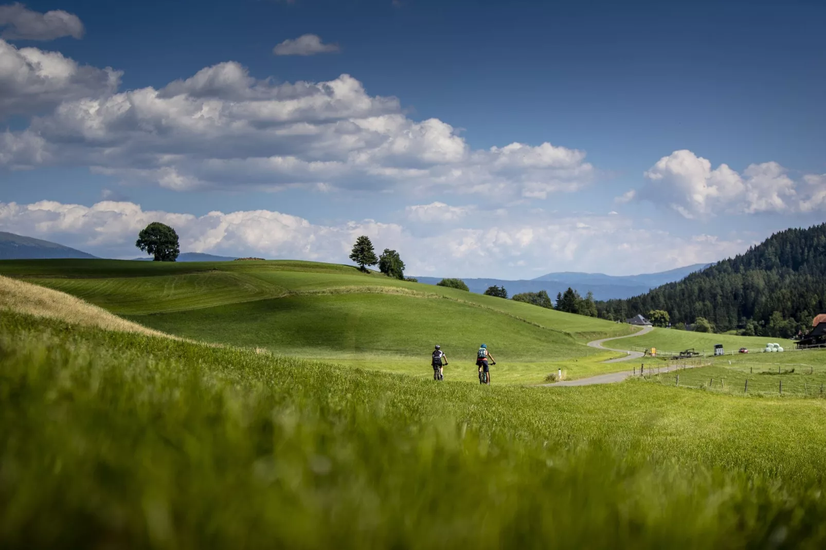 Ferienpark Kreischberg 5-Gebieden zomer 20km