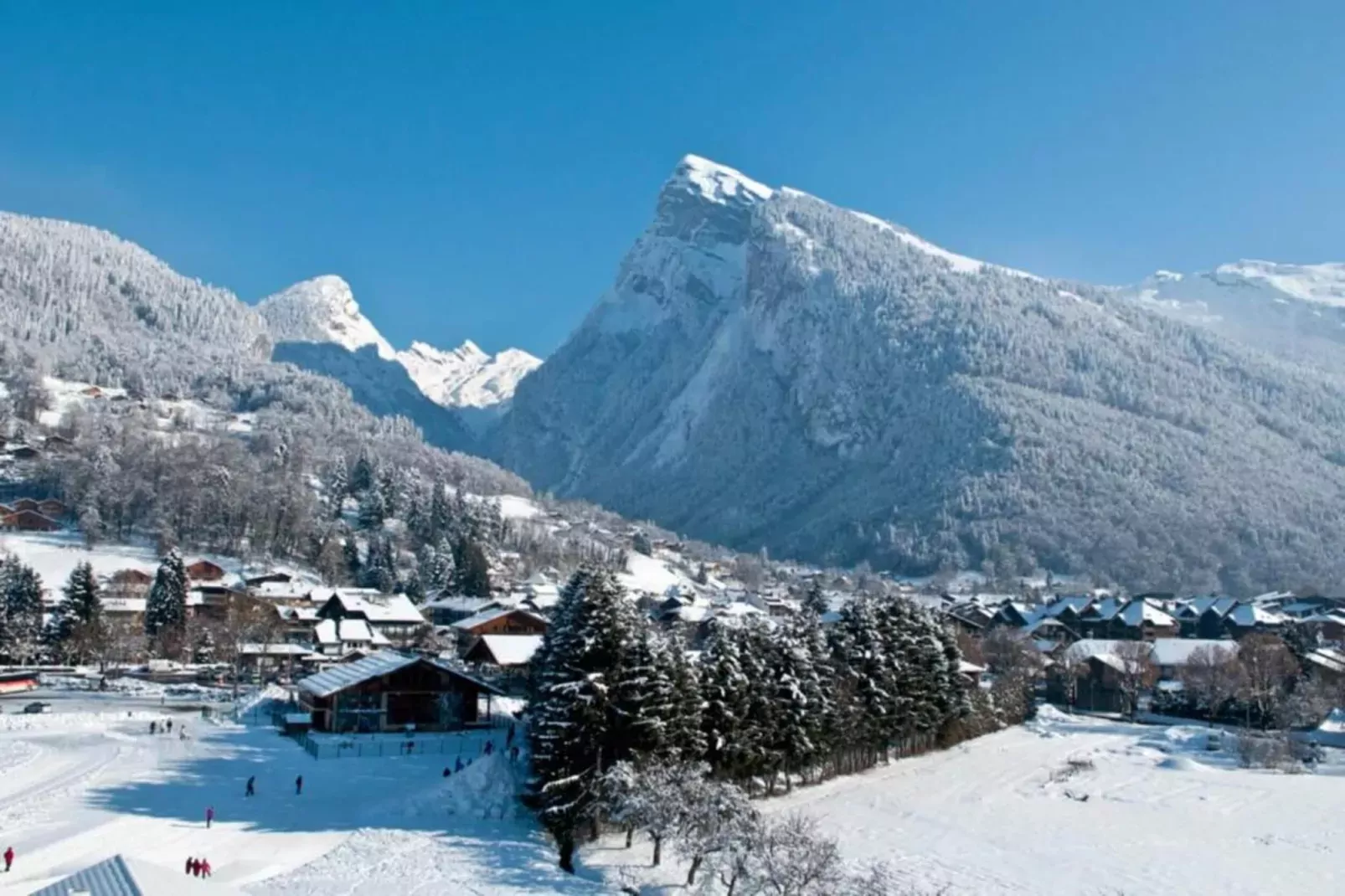 NIVEOLES B N°01 - 3P6-Gebied winter 20km