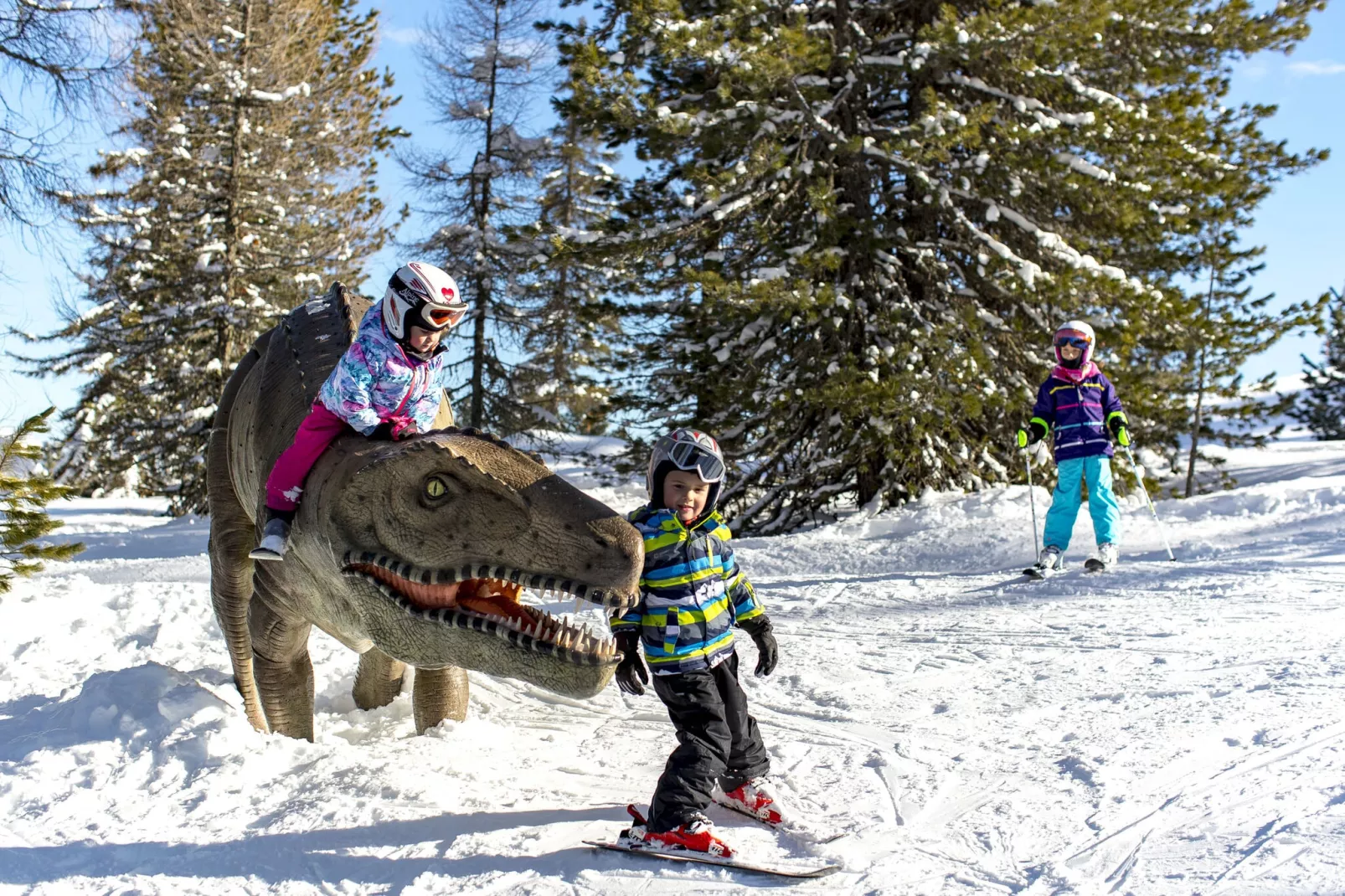 Ferienpark Kreischberg 4-Gebied winter 1km