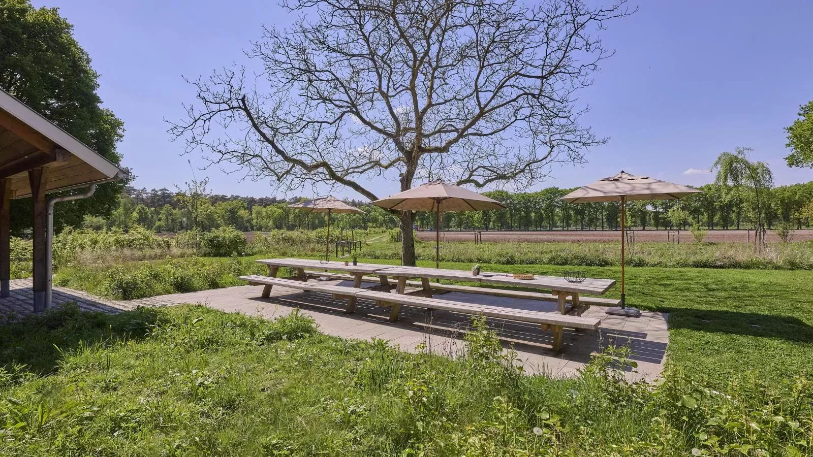 Villa Lactea-Tuinen zomer