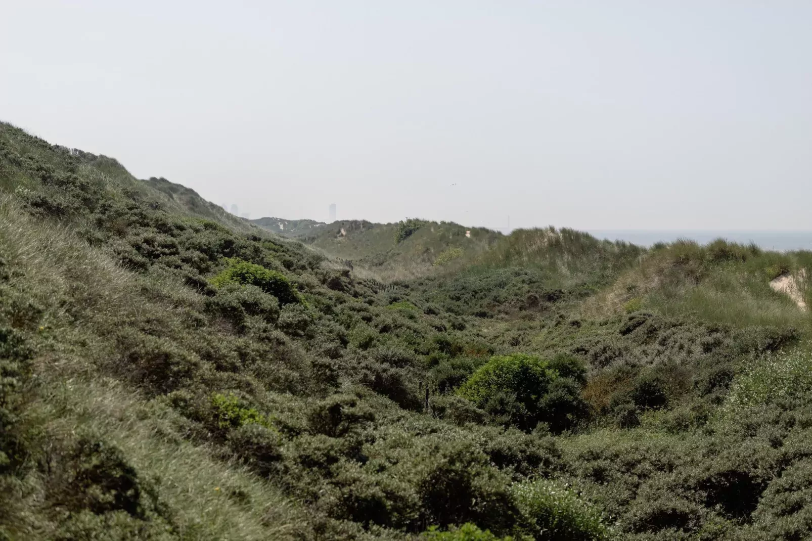 Residentie Sun Beach 0502-Gebieden zomer 5km