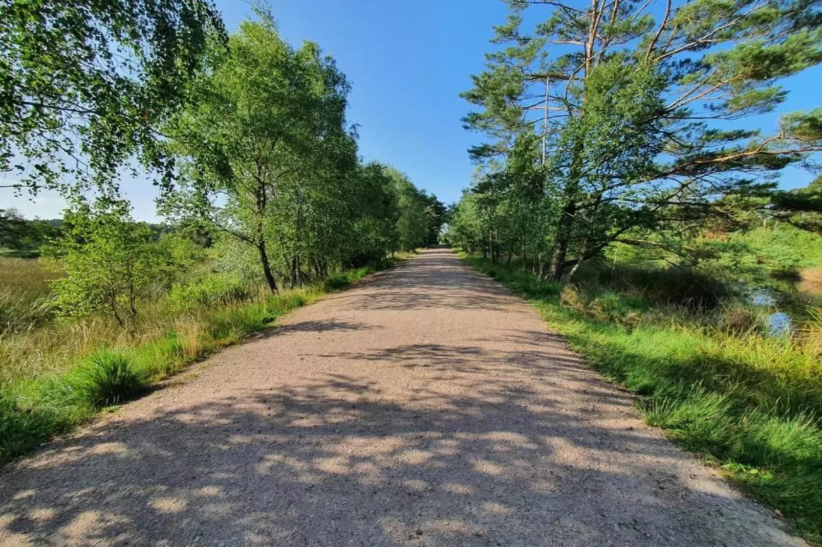 Waldsuite-Gebieden zomer 5km