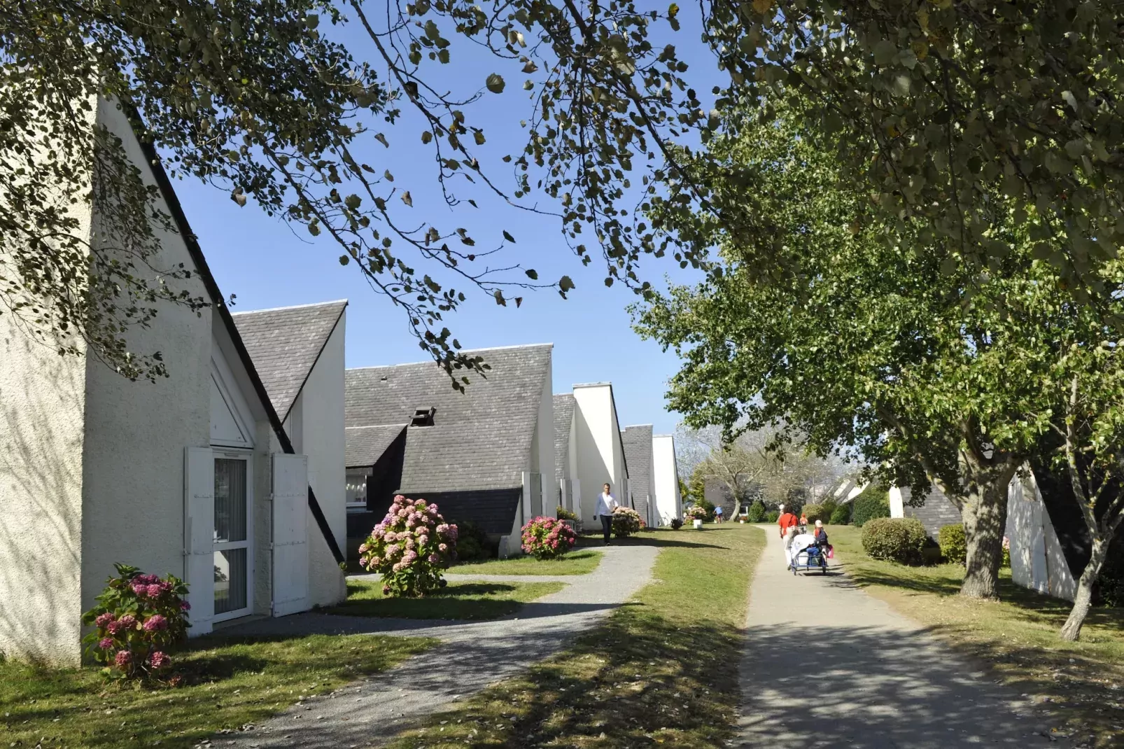 Belle-Île-en-Mer/Gîte 4 Pièces 8 Personnes 1 bébé 2 salles d'eau-Buitenkant zomer