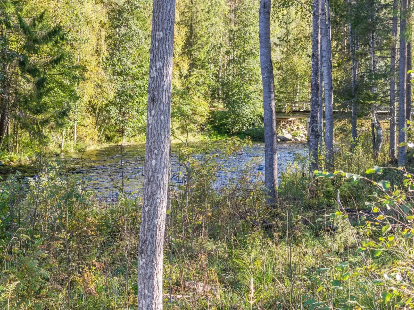 Koskisaari, vaikon loma 2-Buiten