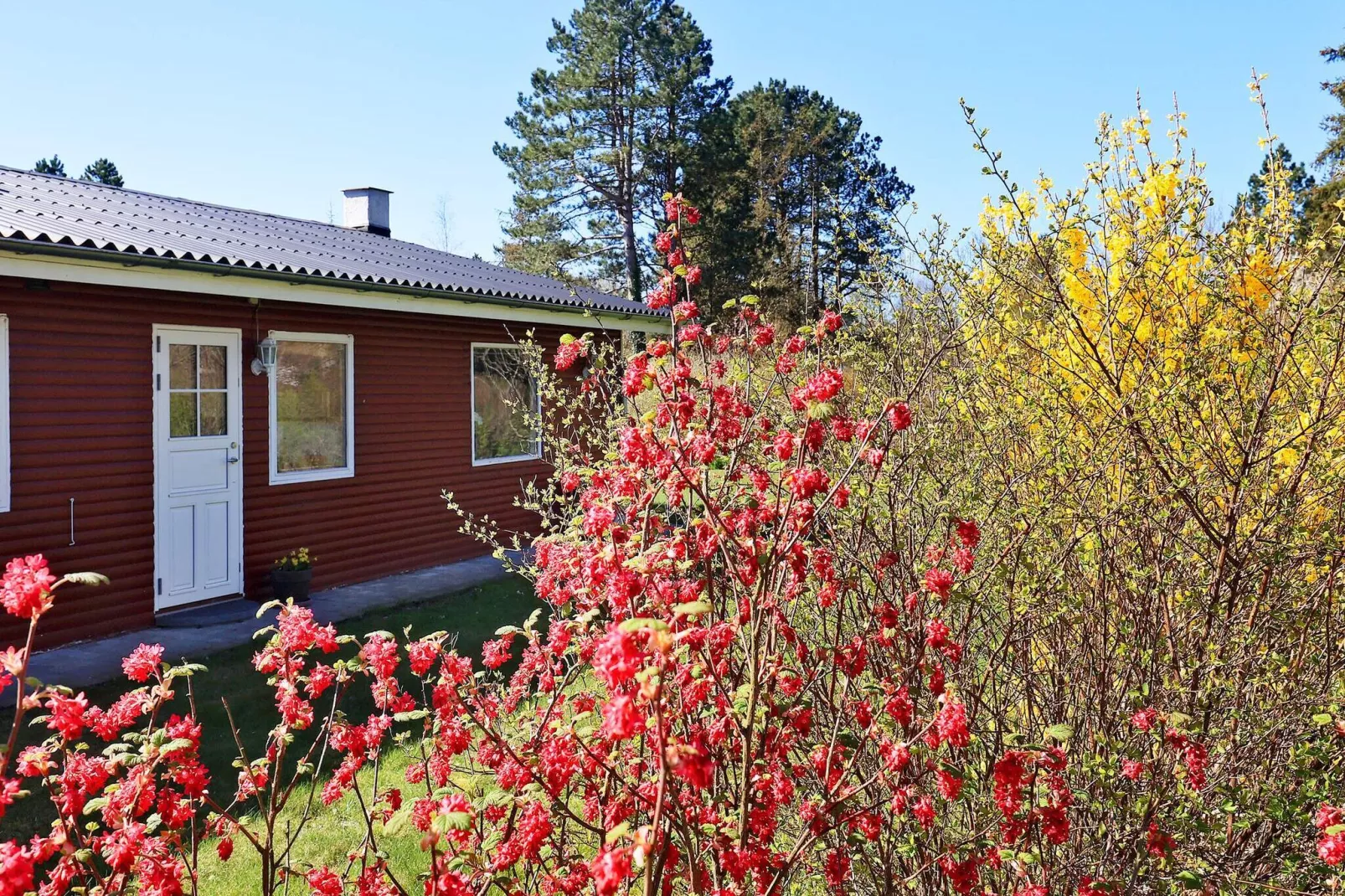 6 persoons vakantie huis in Nibe-Buitenlucht