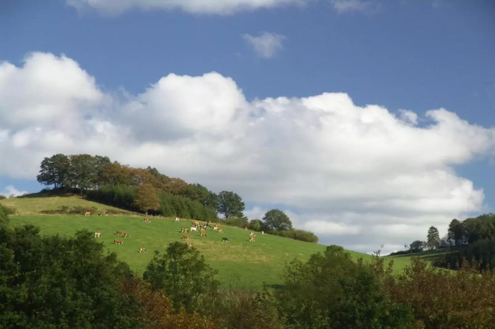 Freiblick-Gebieden zomer 20km