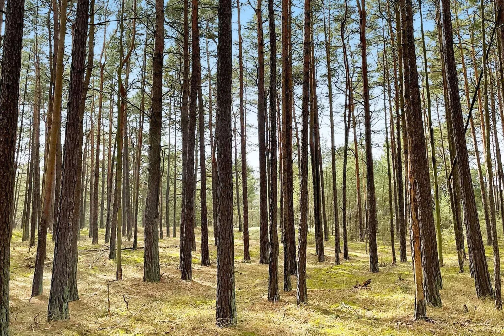 6 persoons vakantie huis in YNGSJÖ-By Traum-Niet-getagd