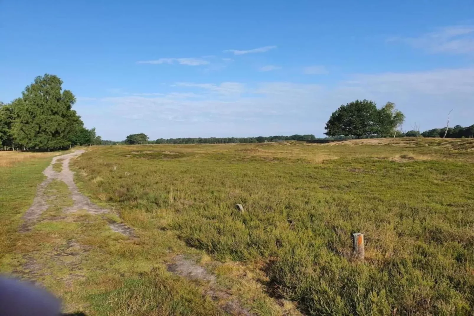 Waldsuite-Gebieden zomer 5km