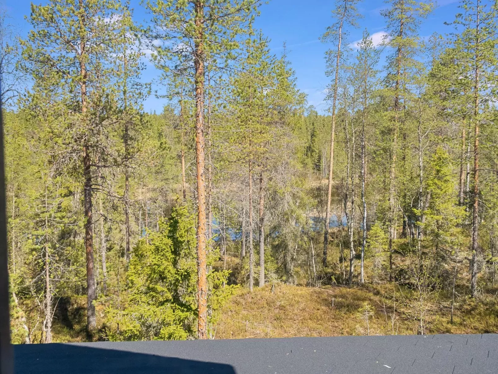 Kiehtäjän lahti-Binnen