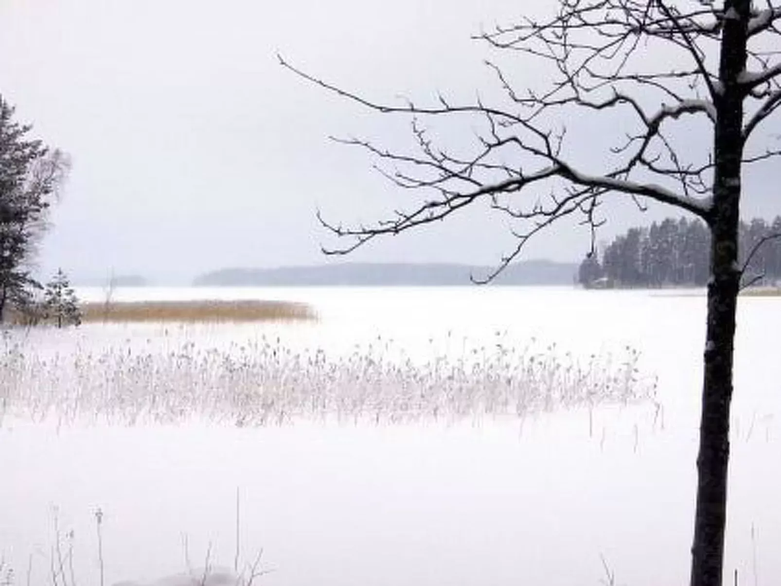 Divaanikivi-Binnen