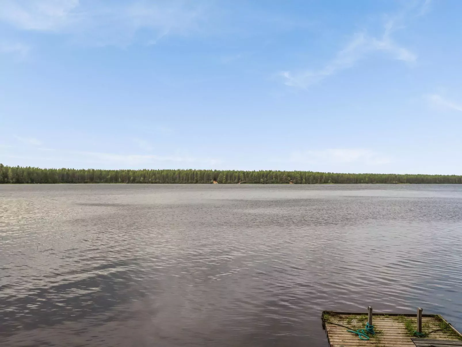 Suvi-tuuli-Buiten