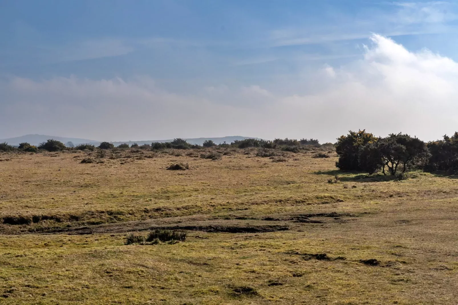 Jubilee Barn Cottage at Bodmin Moor-Buitenlucht