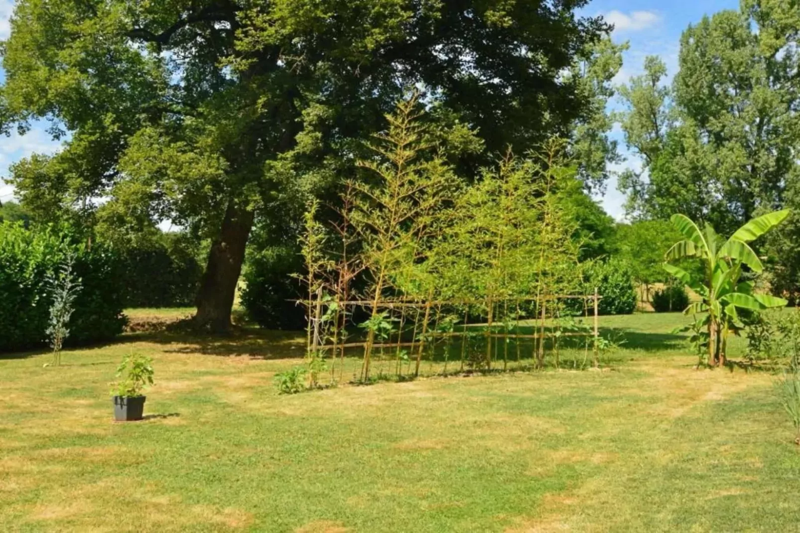 Cottage 6p-Gebieden zomer 20km