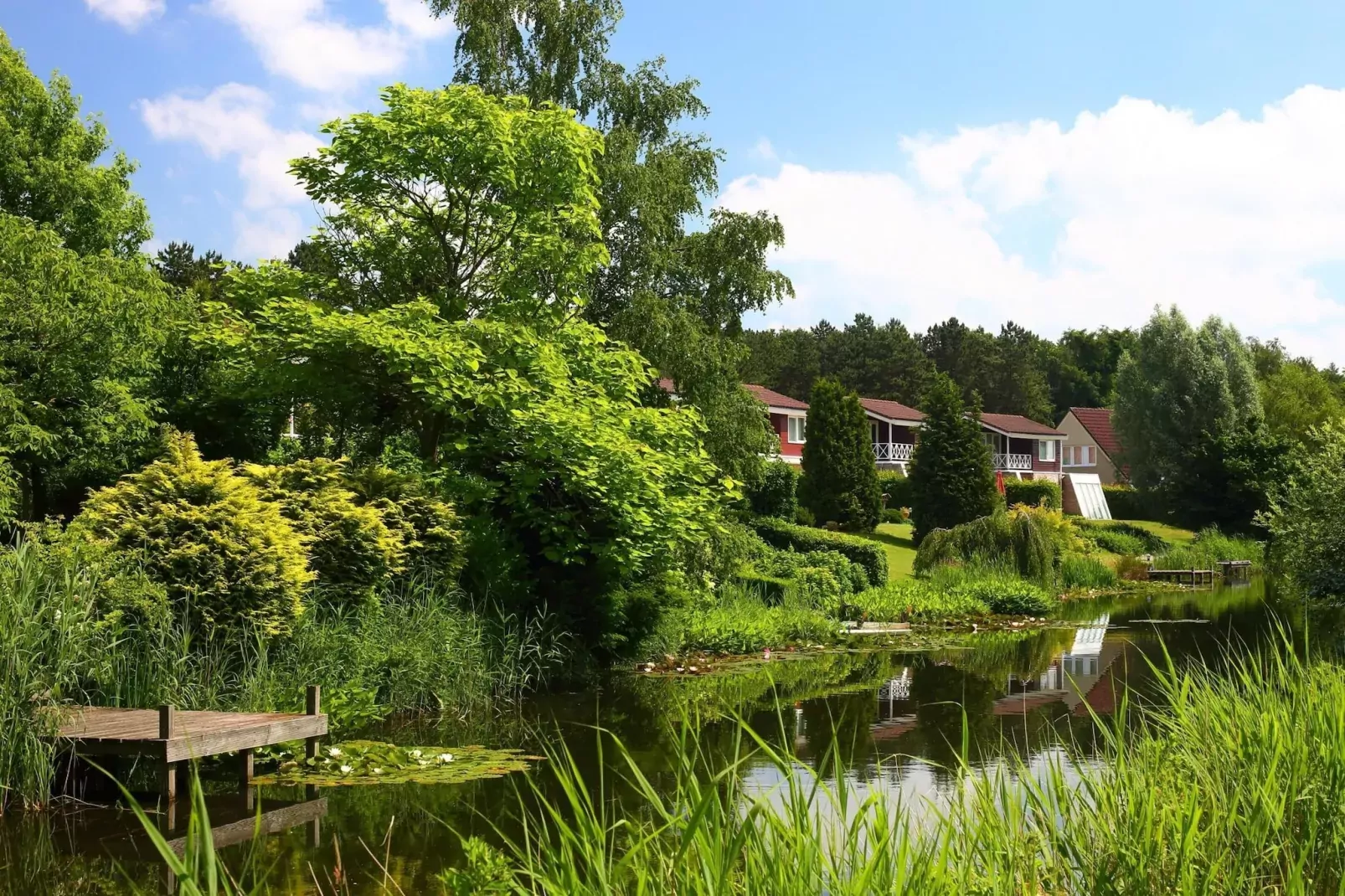 Vakantiepark Emslandermeer 1-Gebieden zomer 1km