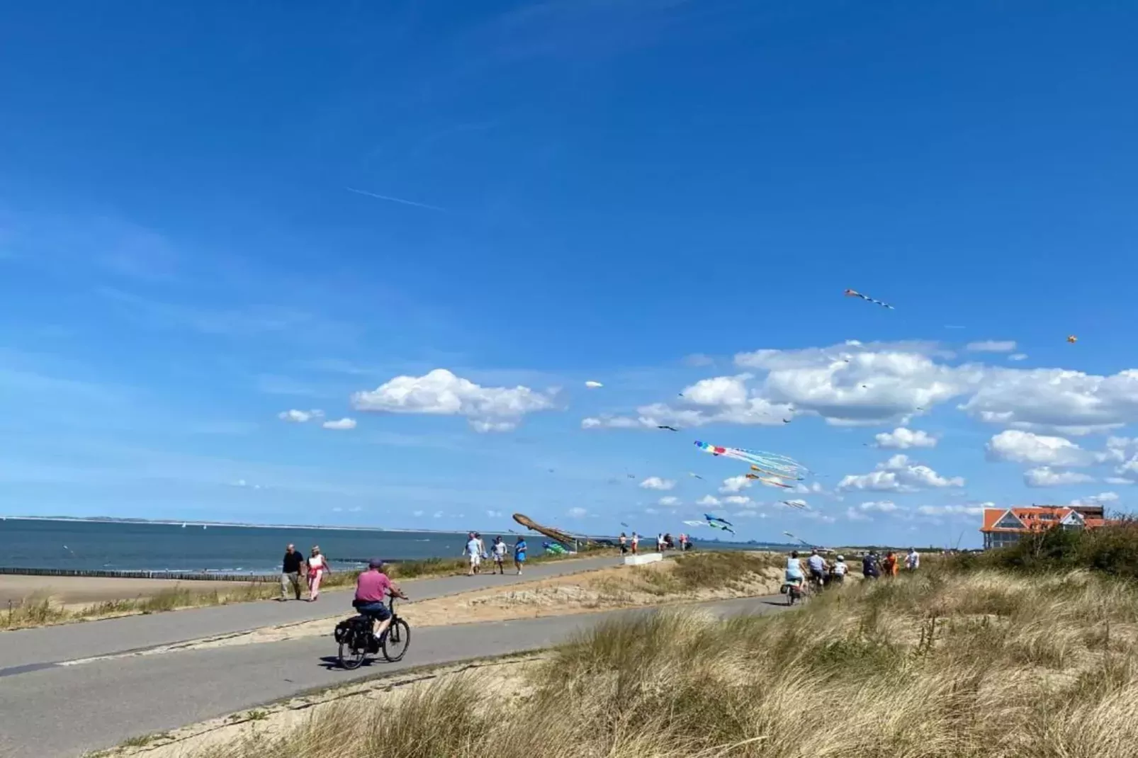 Het Platte Putje - Huisdier - nr 2-Gebieden zomer 20km