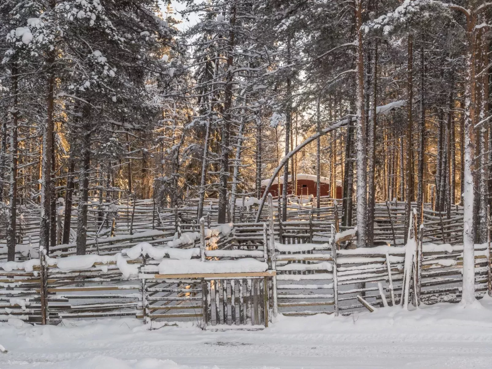 Puljunharju-Buiten