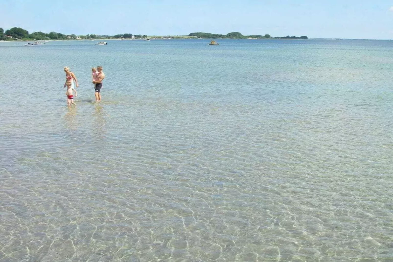 141732-Gebieden zomer 5km