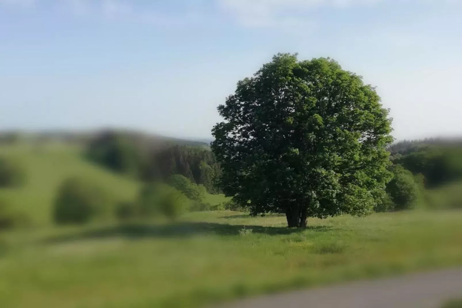 Altes Bootshaus 3-Gebieden zomer 20km