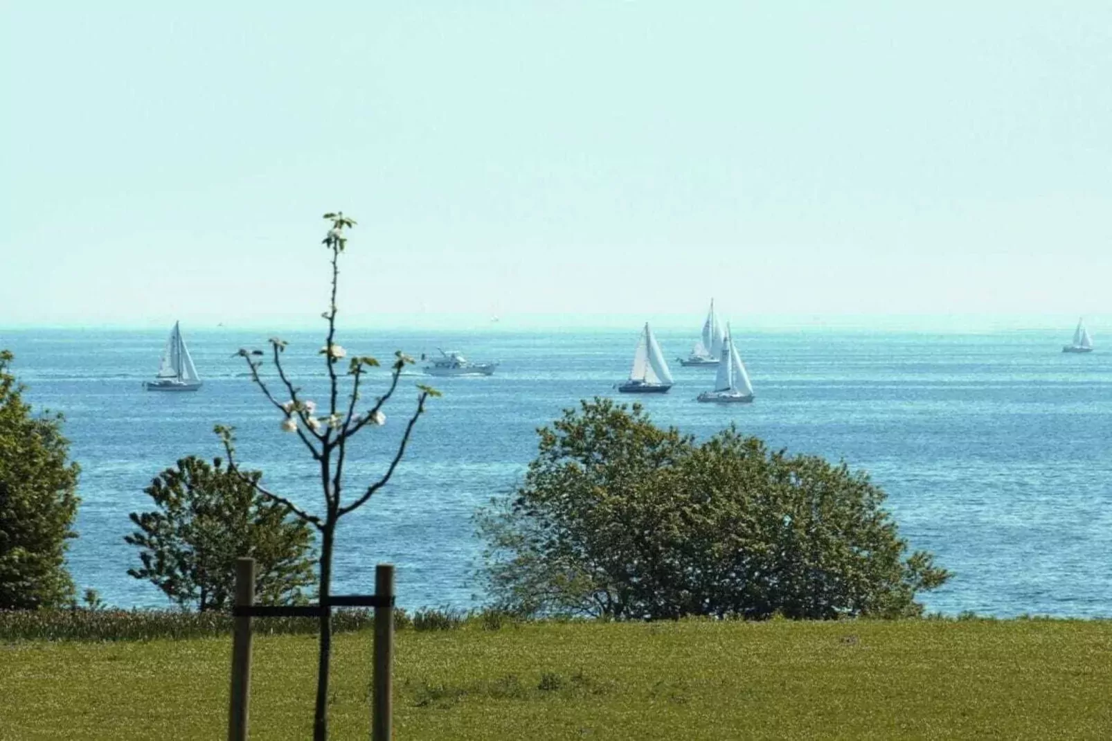 414830-Gebieden zomer 5km