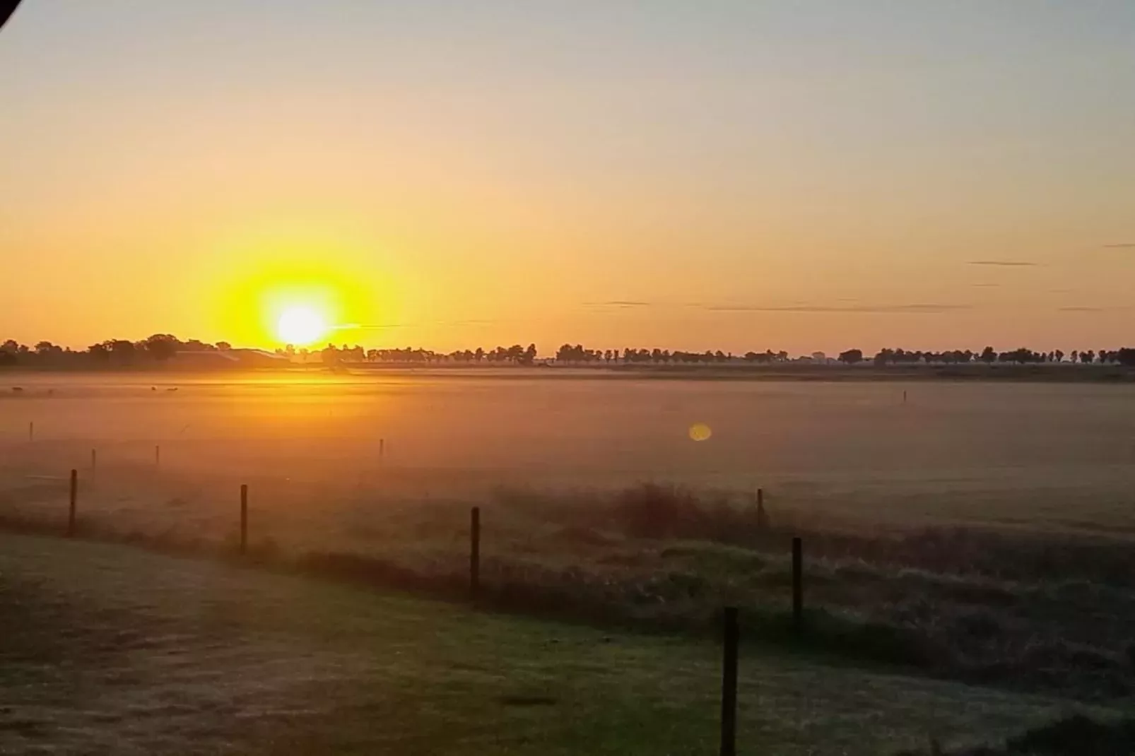 Grutto-Uitzicht zomer