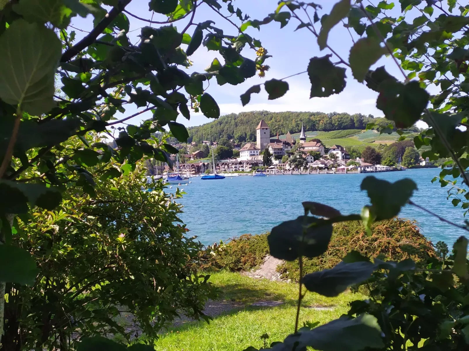 Bühlmann-Buiten