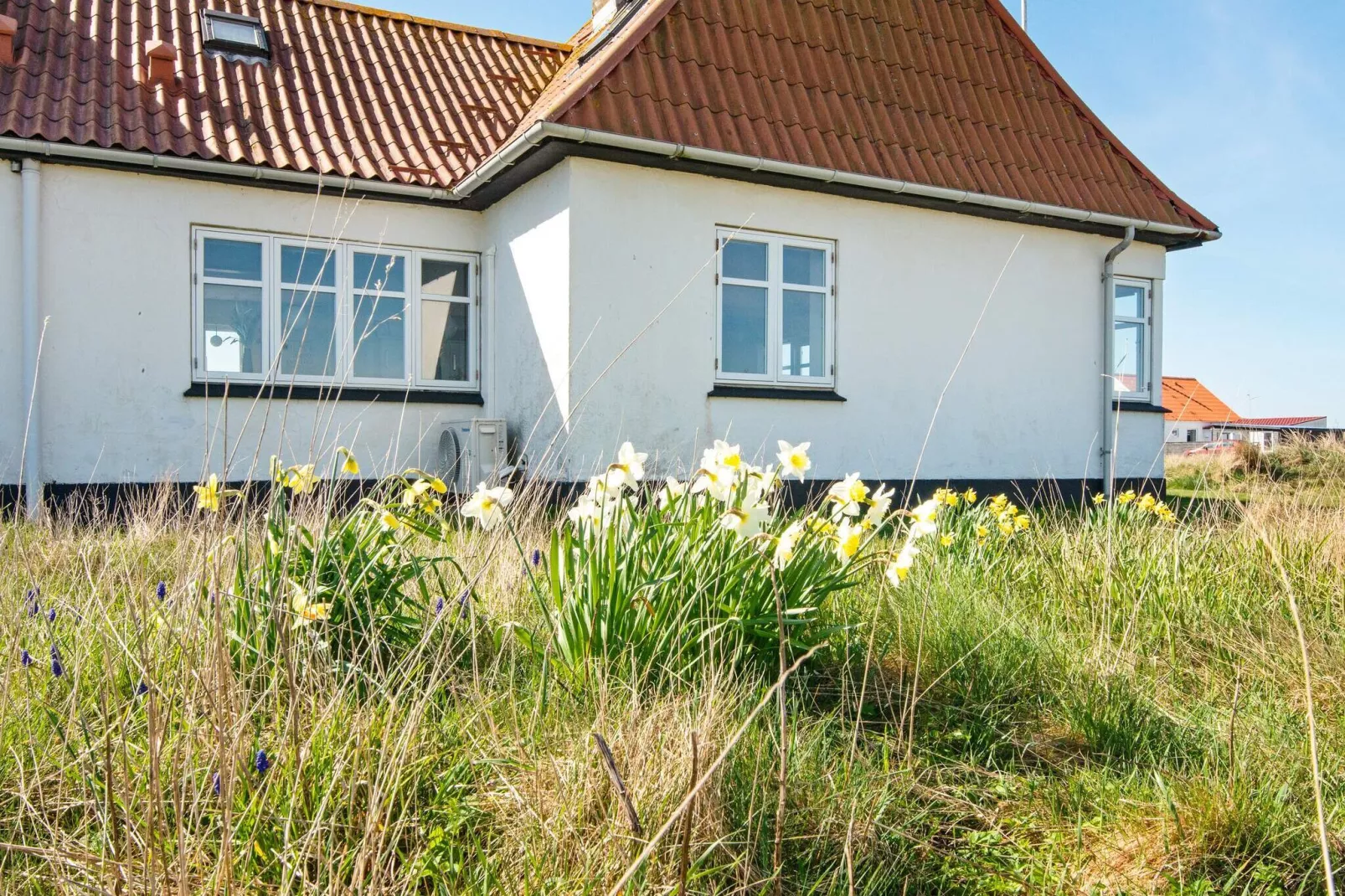 17 persoons vakantie huis in Harboøre-By Traum-Buitenlucht