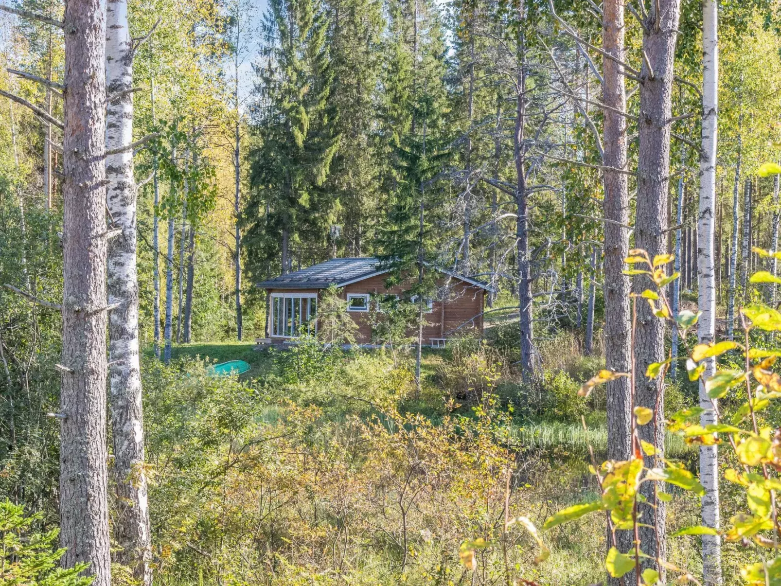 Koskisaari, vaikon loma 2-Buiten