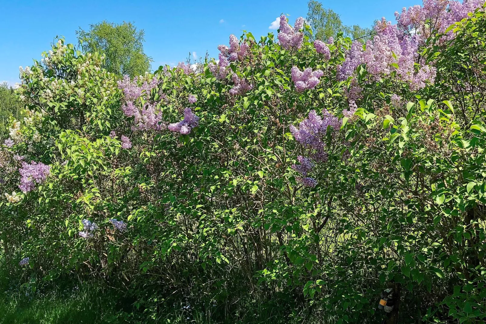 4 persoons vakantie huis in Södertälje