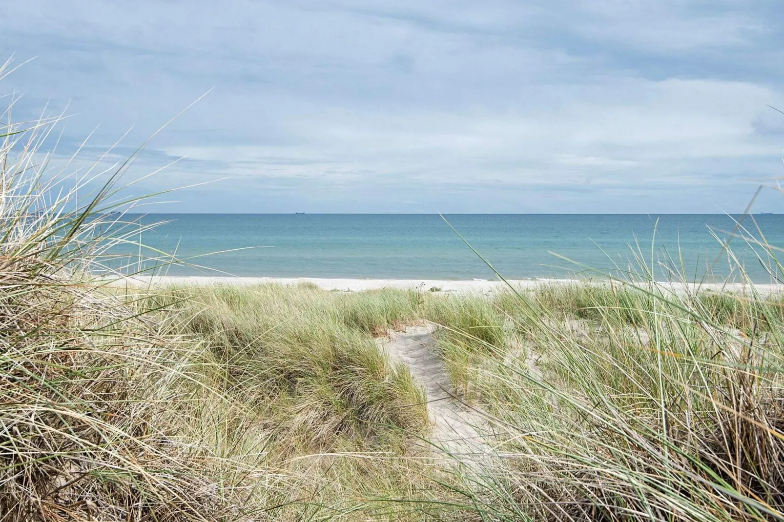 6 persoons vakantie huis in Ålbæk