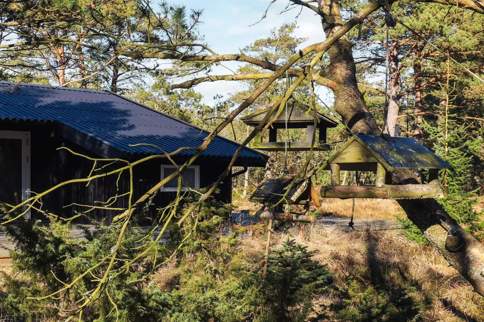 3 persoons vakantie huis in Ålbæk-Uitzicht