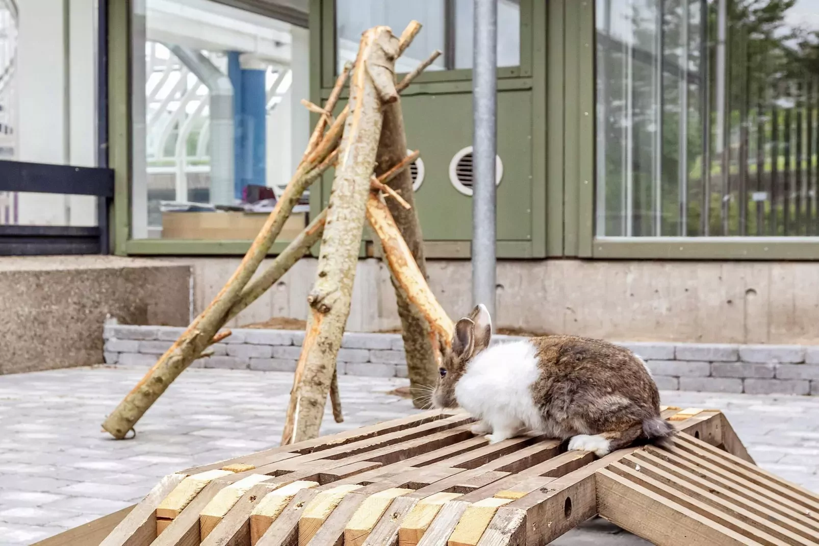 6 persoons vakantie huis op een vakantie park in Hanstholm-Niet-getagd