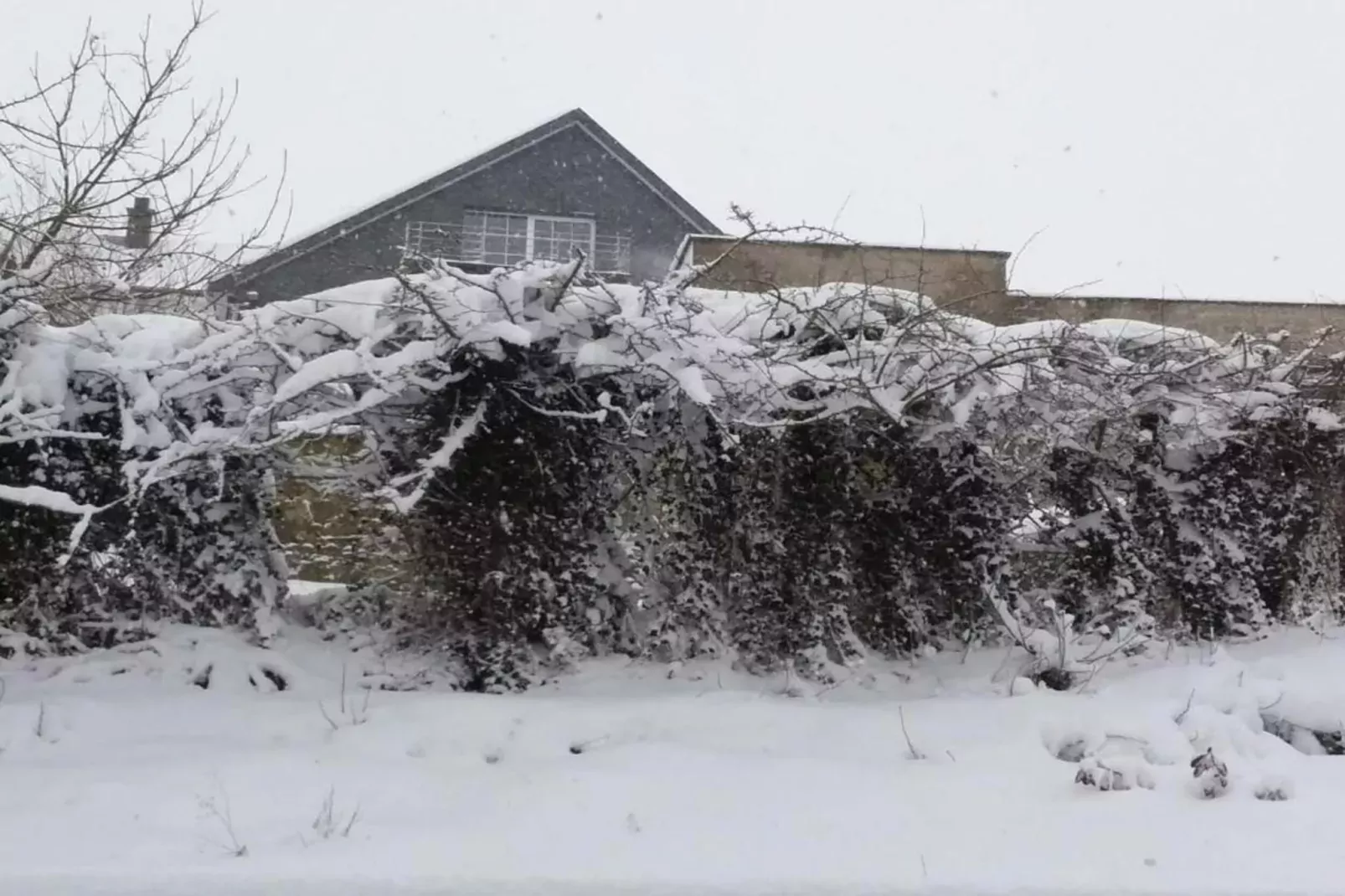 La Maison d'Egide-Gebied winter 20km