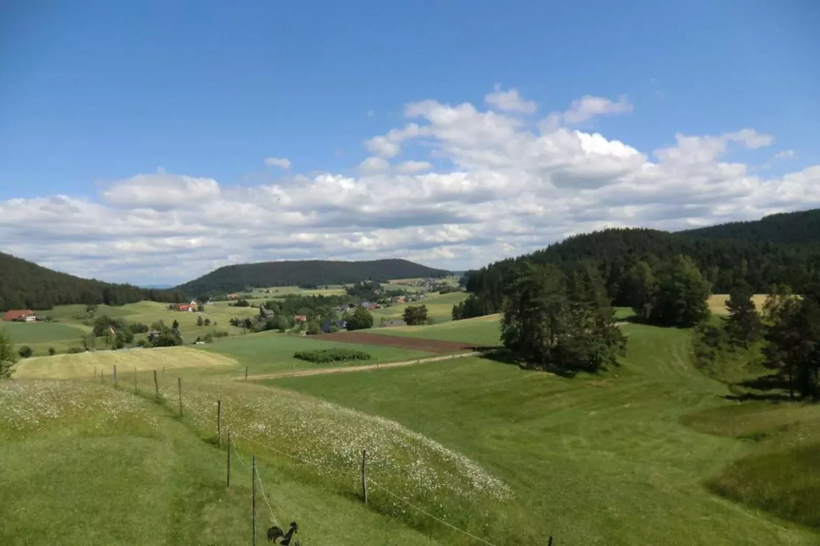 Meisdorf II-Gebieden zomer 20km