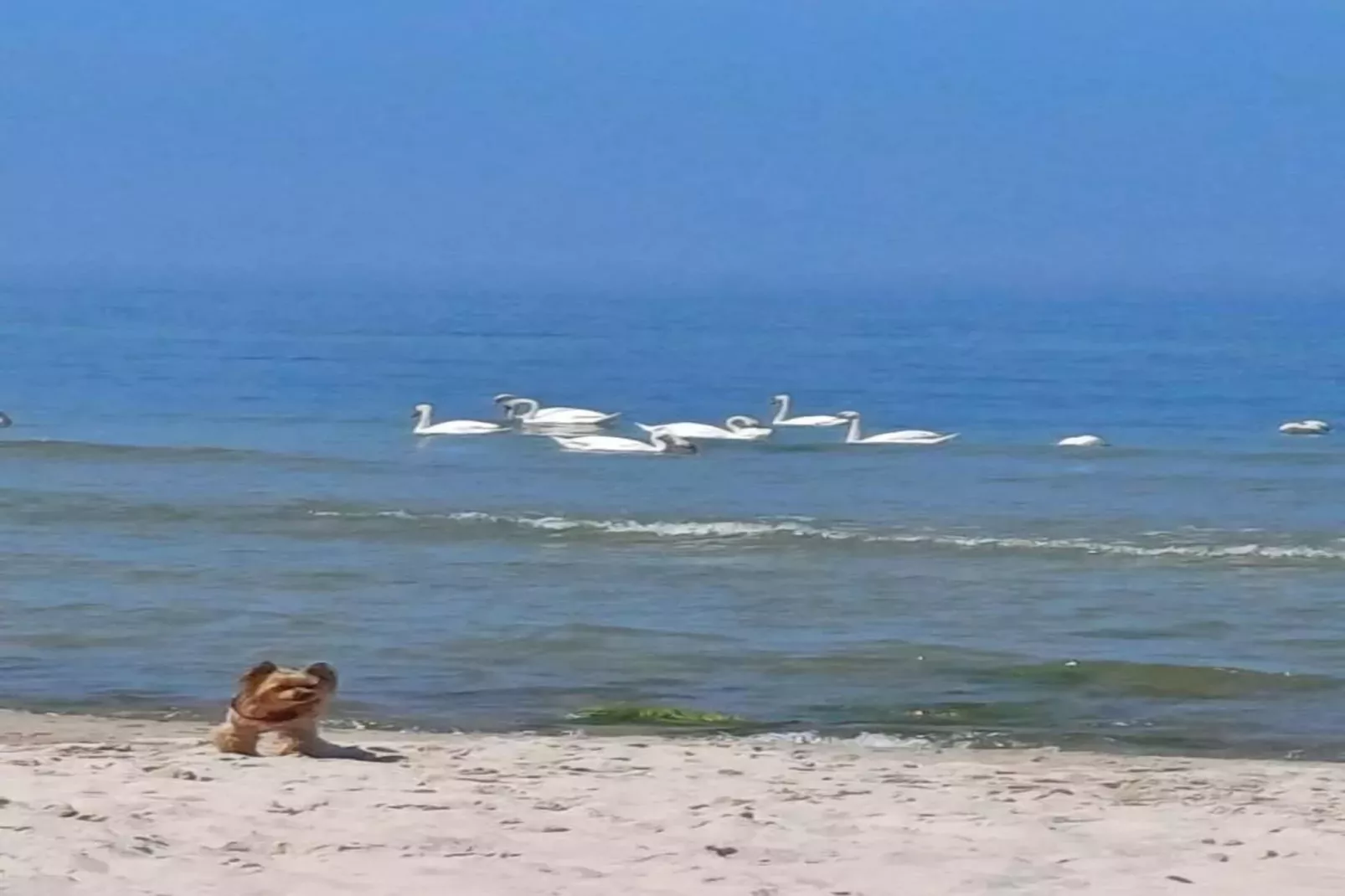 Sunny bungalow by the sea-Gebieden zomer 1km