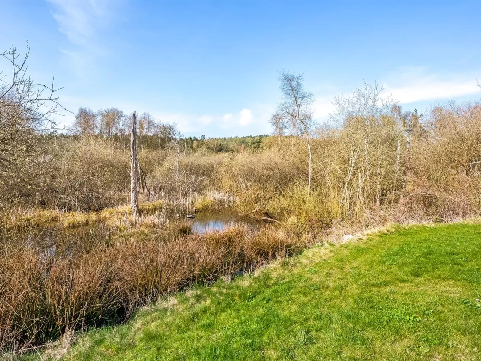 "Blek" - 2.8km from the sea-Buiten